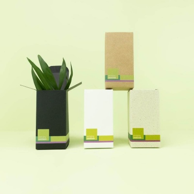 Faltschachtel Muster